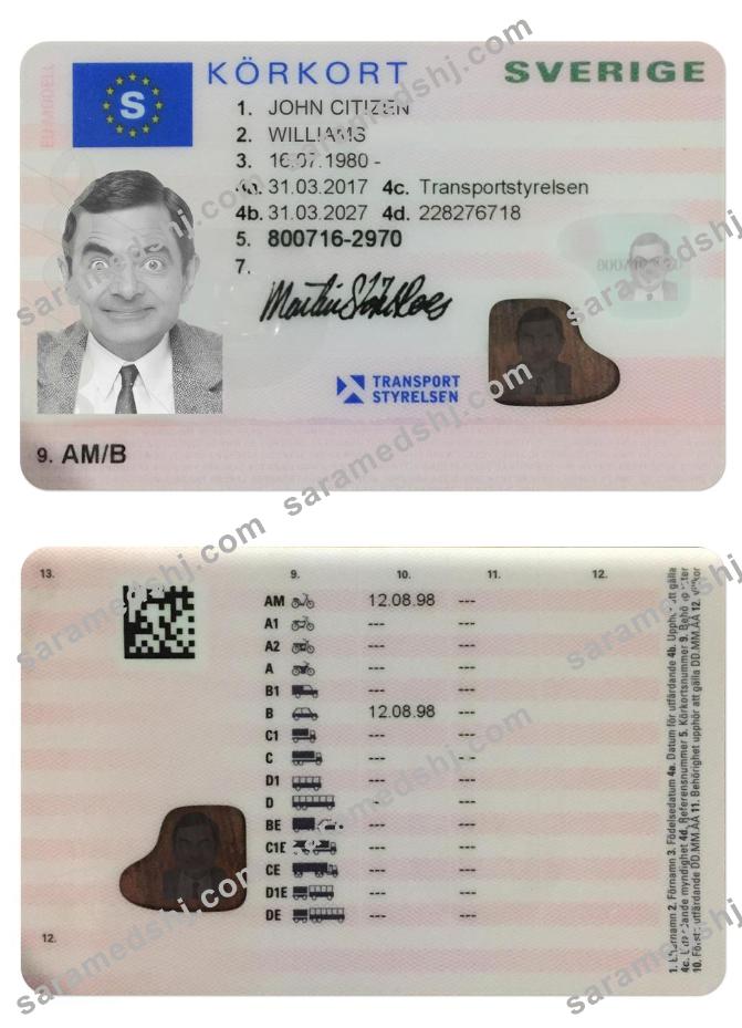 SWEDEN driving license (2016-present)